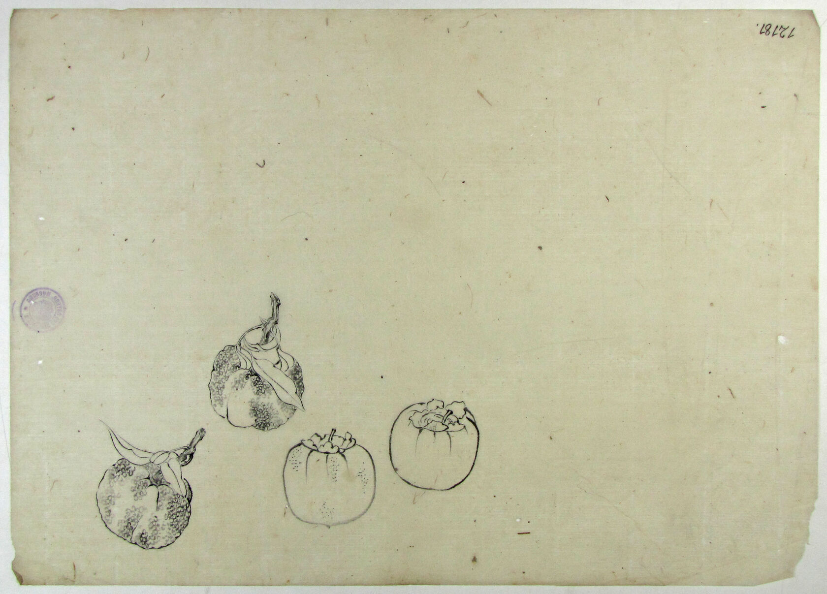 MAK/Johannes Wieninger